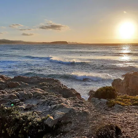 Mare Di Sardegna *
